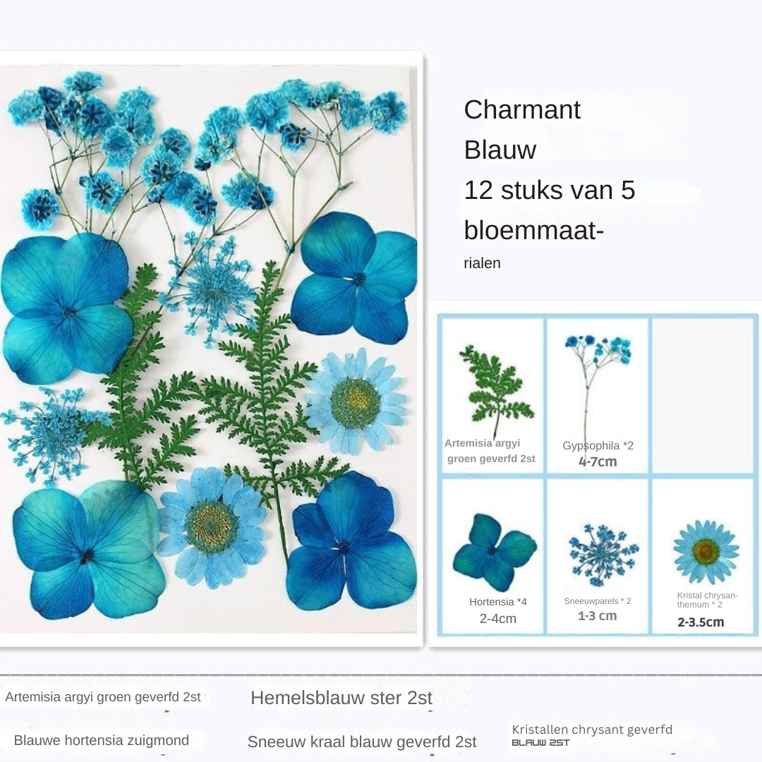 Transparante Gedroogde Bloemen Bladwijzers (40 STUKS)