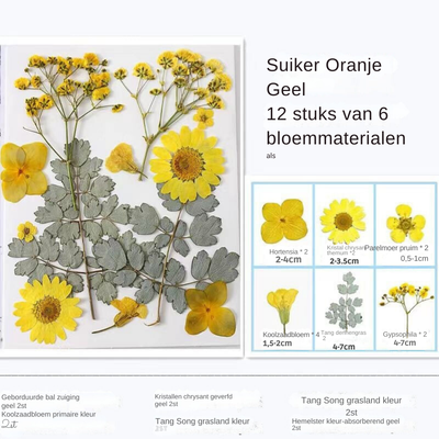 Transparante Gedroogde Bloemen Bladwijzers (40 STUKS)