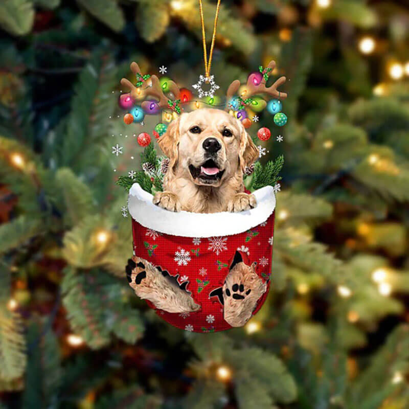 Golden Retriever In Sneeuw Zak Ornament