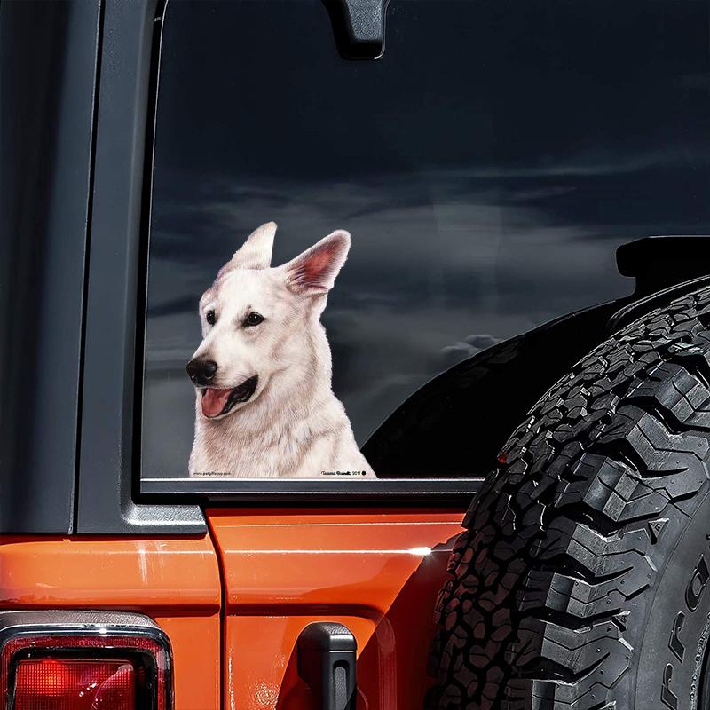 German Shepherd Witte-On The Move Window