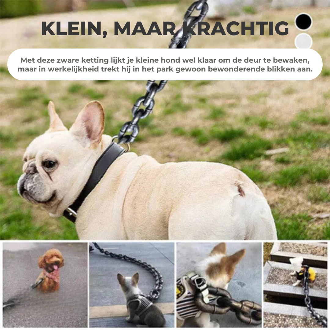 XXL Hondenhalsband | Geniet van 40% Korting!