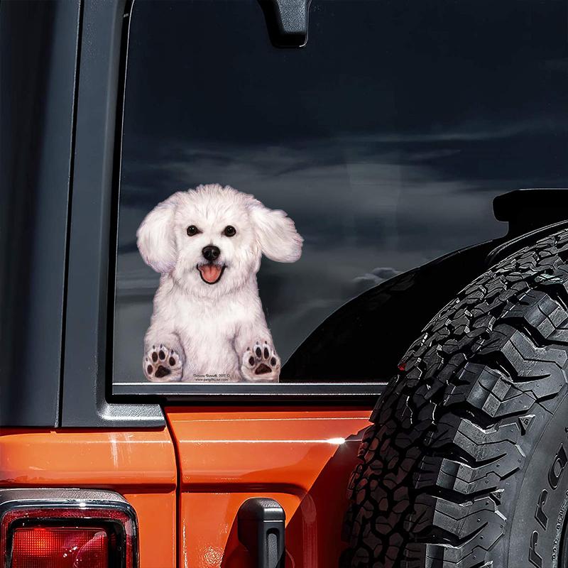 Bichon Frise-On The Move Window