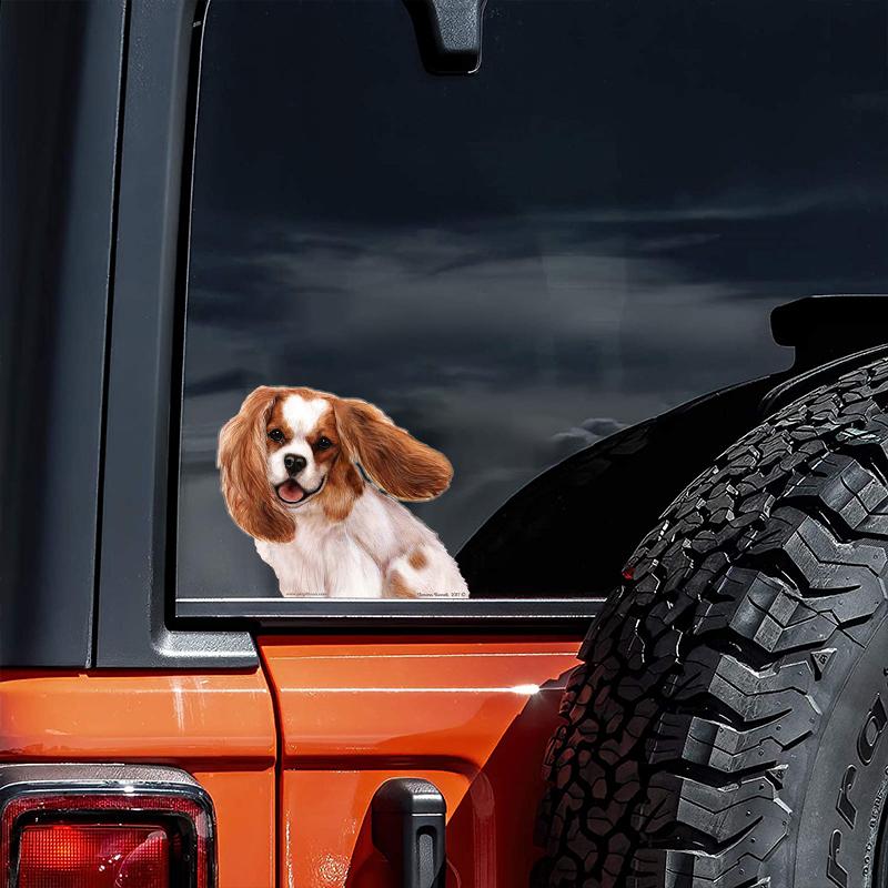 Cavalier King Charles-On The Move Window