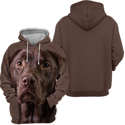 Unisex Honden Hoodie | Labrador Chocolate Quiet