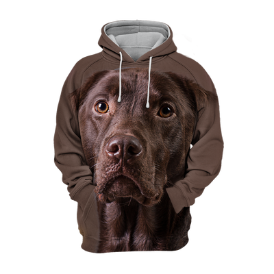 Unisex Honden Hoodie | Labrador Chocolate Quiet