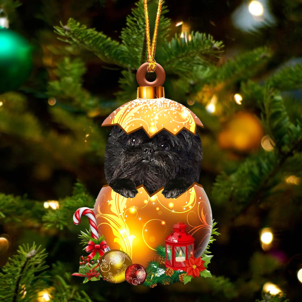 Affenpinscher In Kerst Gouden Ei Ornament