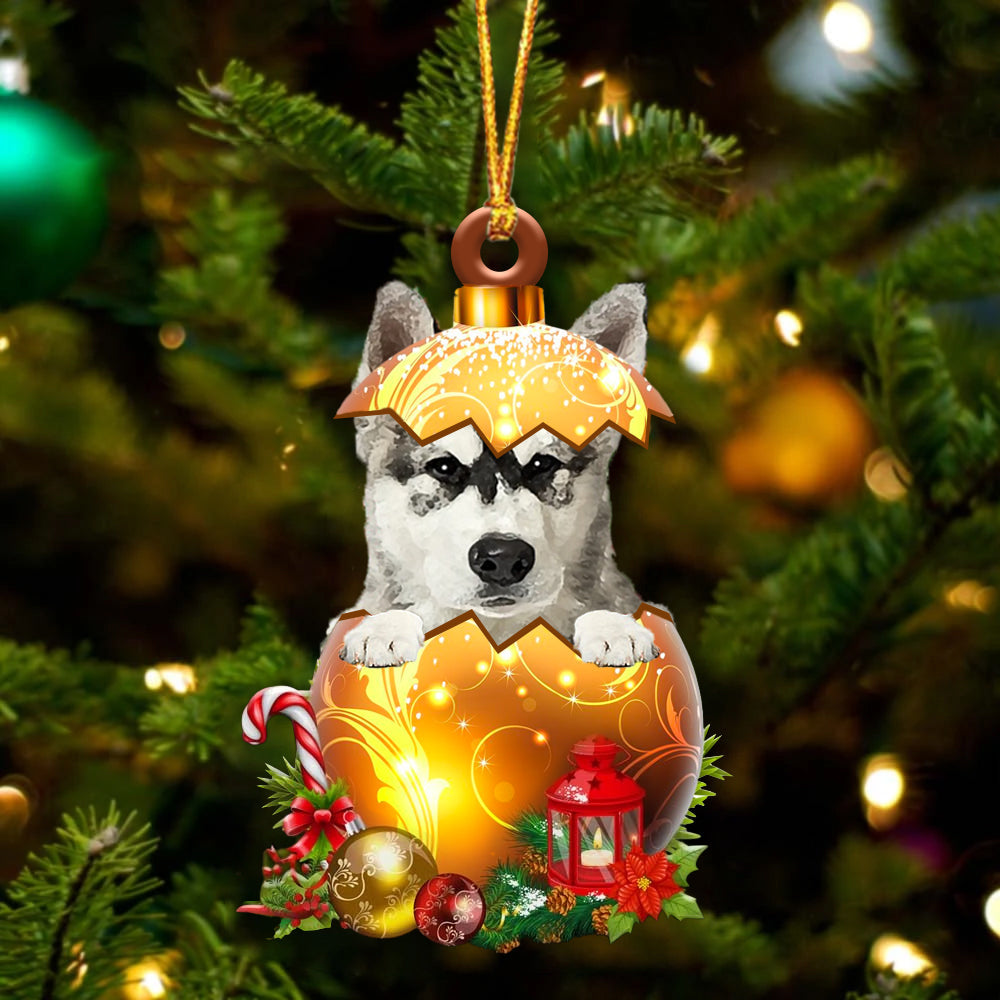 Alaskan Malamute In Kerst Gouden Ei Ornament