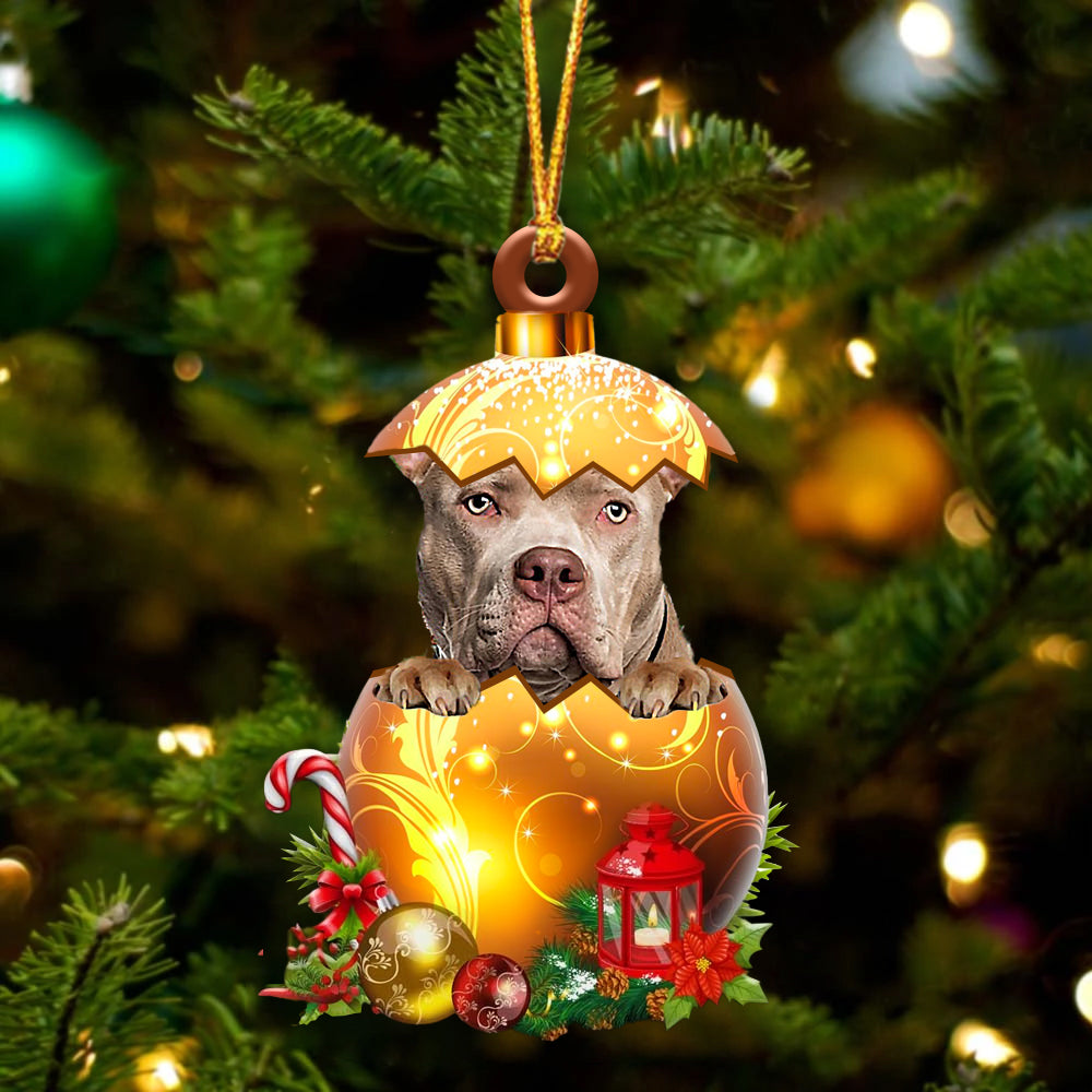 Amerikaanse Bully In Kerst Gouden Ei Ornament