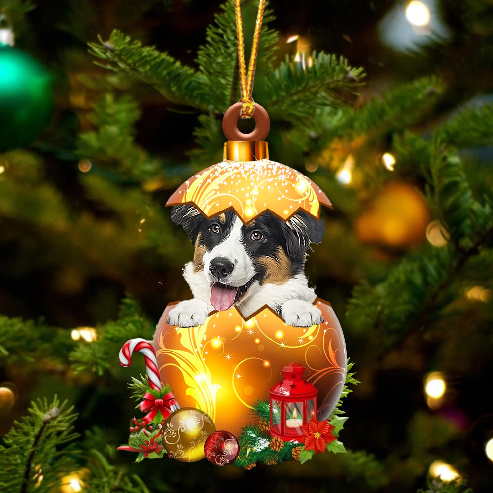 Australische Shepherd2 In Kerst Gouden Ei Ornament