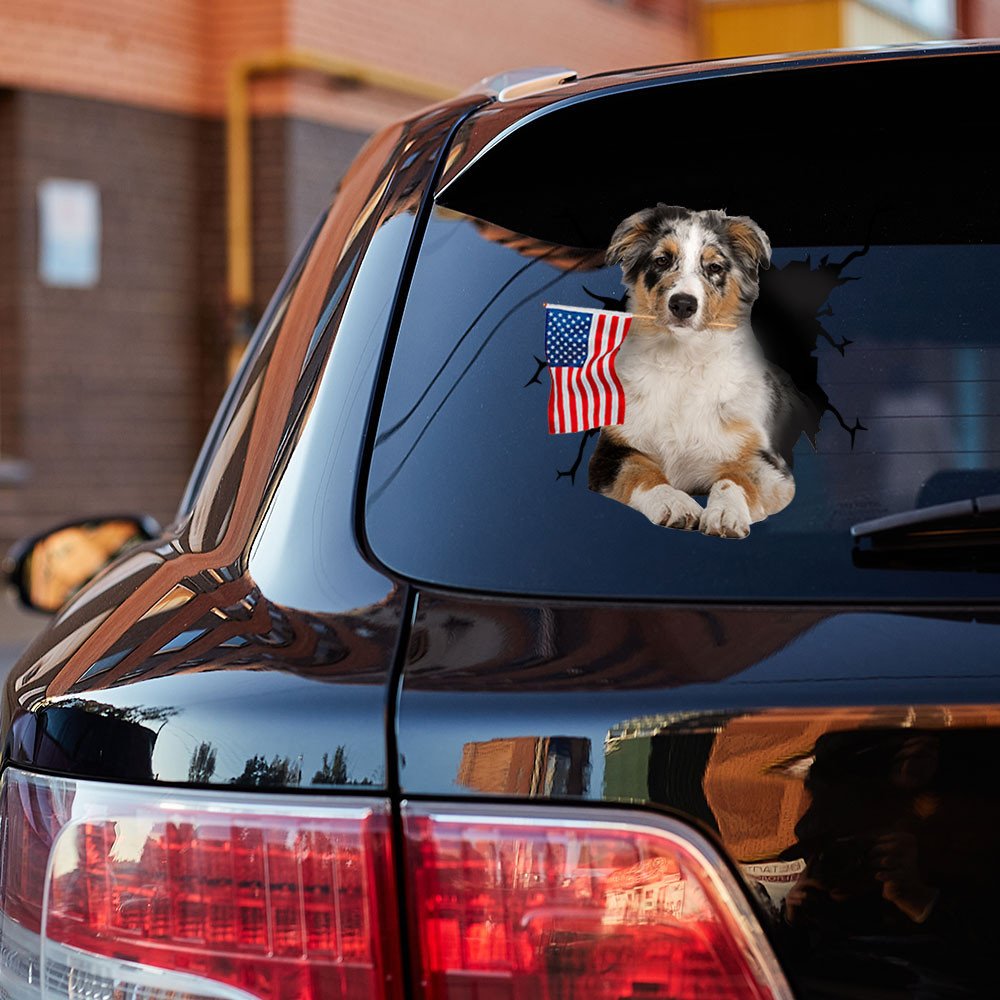 Australian Shepherd