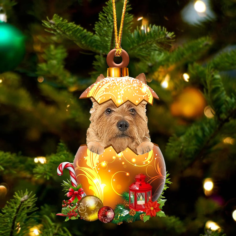 Australische Terrier In Kerst Gouden Ei Ornament