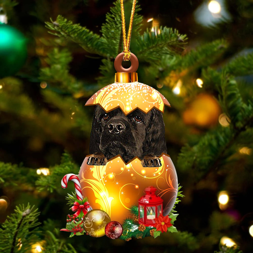 Zwart American Cocker Spaniel In Kerst Gouden Ei Ornament