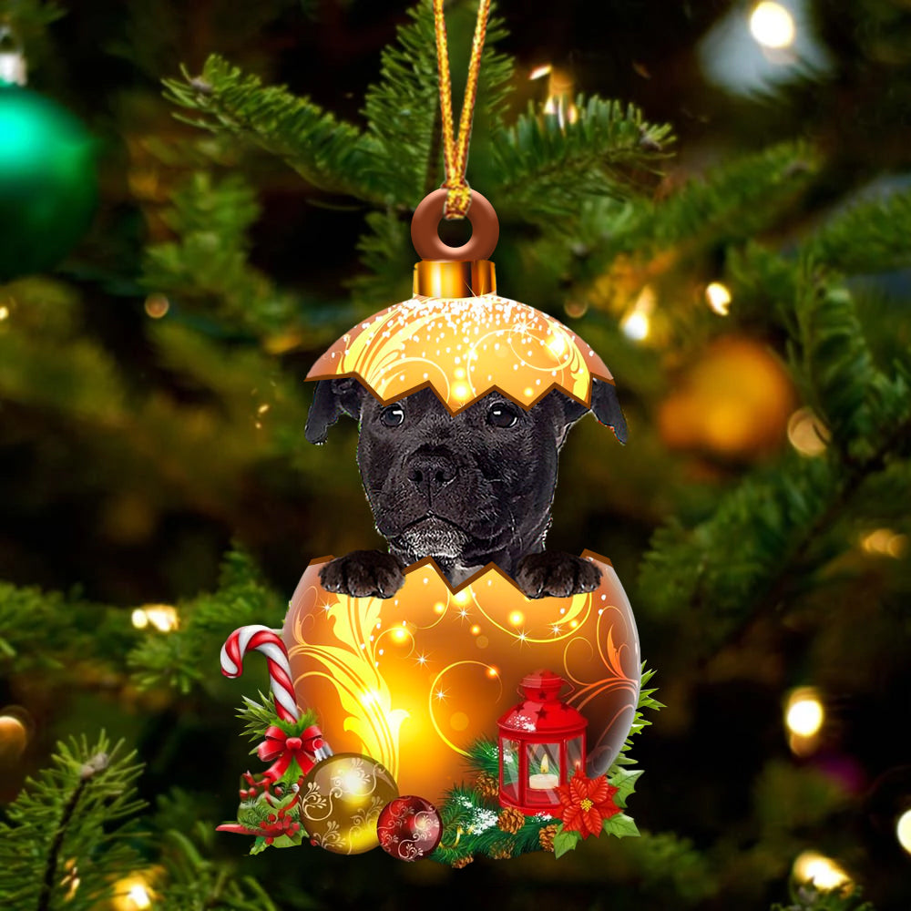 Zwart American Staffordshire Terrier In Kerst Gouden Ei Ornament