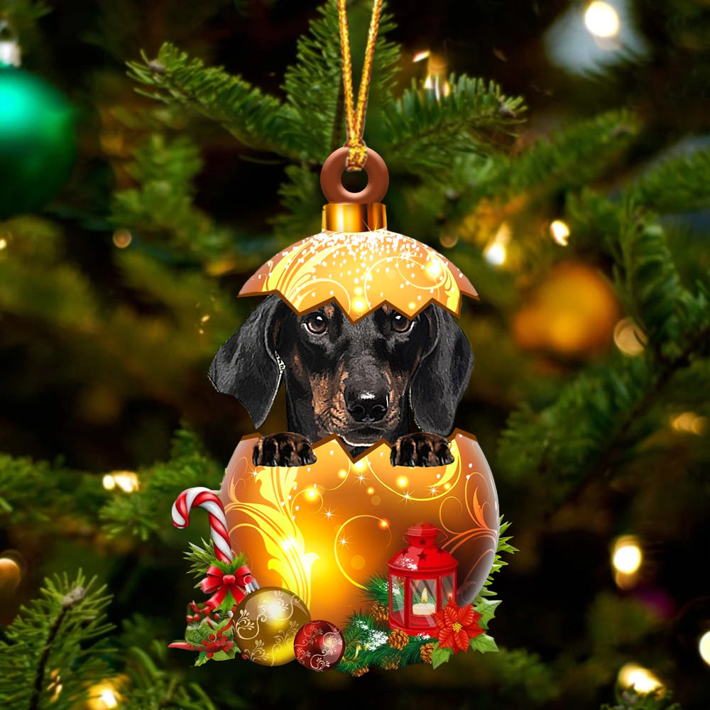 Zwart Dachshund In Kerst Gouden Ei Ornament