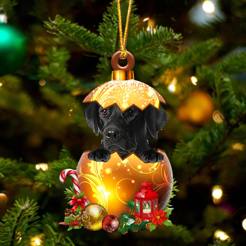 Zwart Labrador In Kerst Gouden Ei Ornament