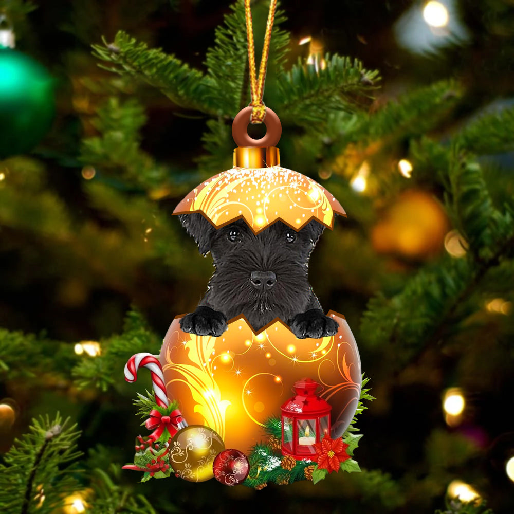 Zwart Miniature Schnauzer In Kerst Gouden Ei Ornament