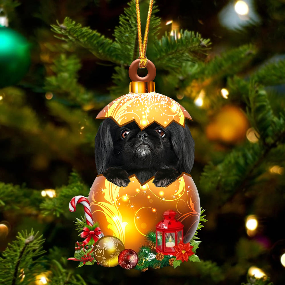 Zwart Pekingese In Kerst Gouden Ei Ornament