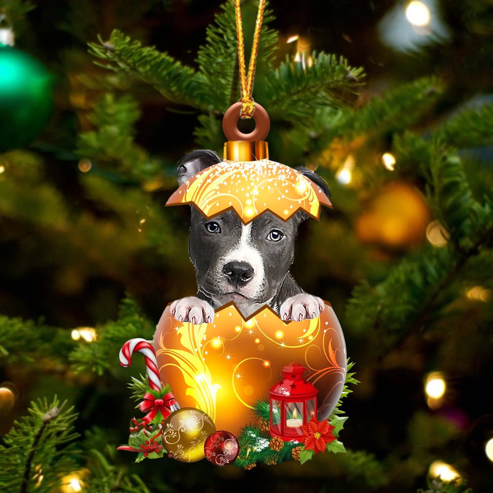 Nose Pitbull In Kerst Gouden Ei Ornament