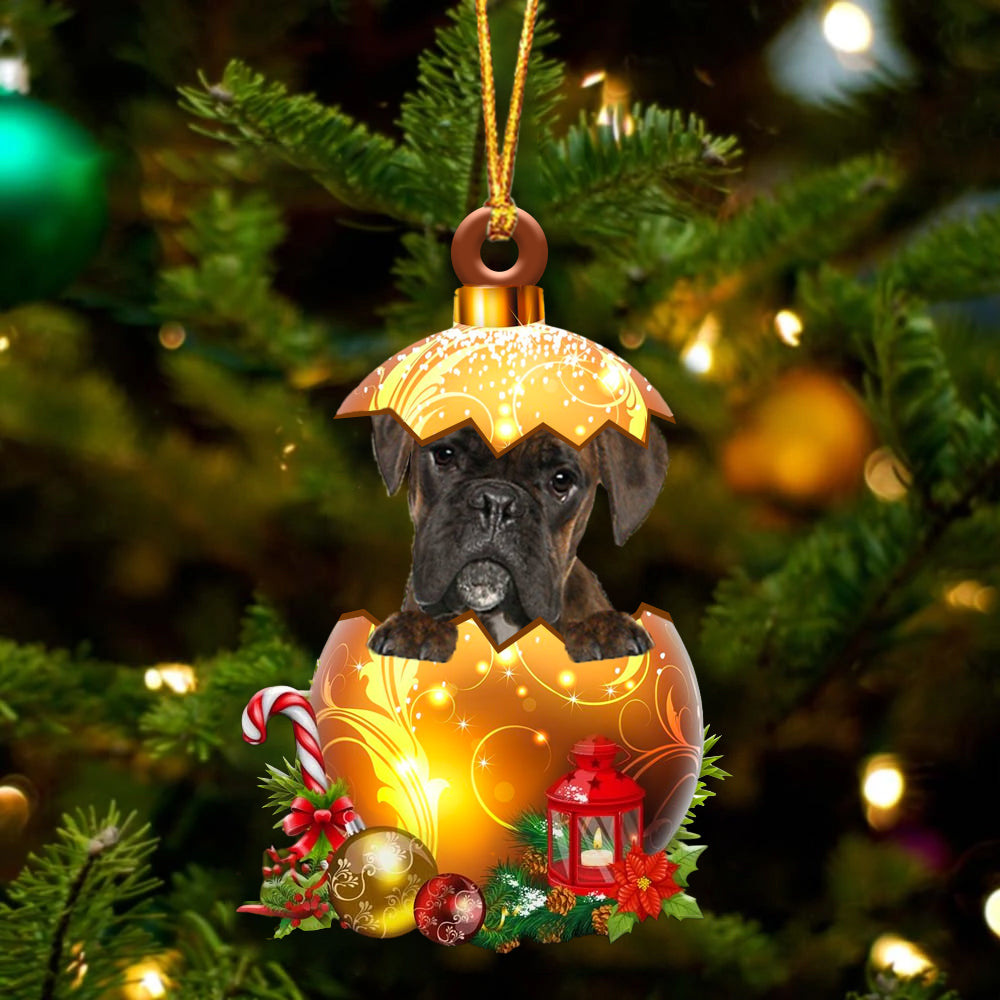 BRINDLE Boxer In Kerst Gouden Ei Ornament