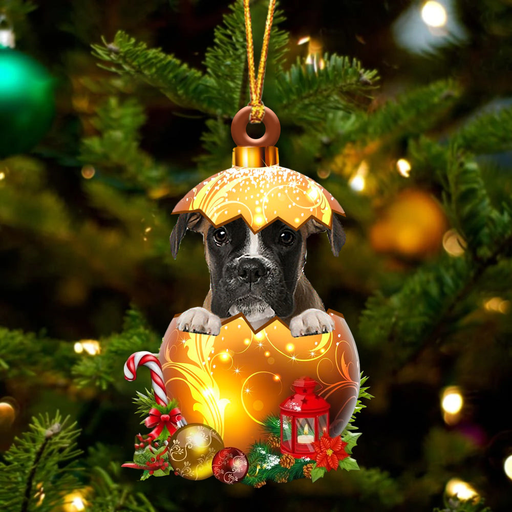 Bruin Boxer In Kerst Gouden Ei Ornament