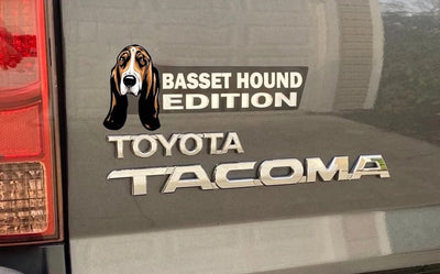 Basset Hound Auto Badge Autoembleem