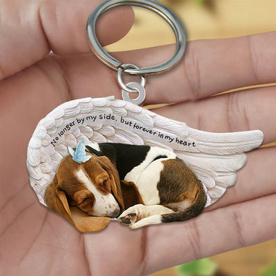 Basset Hound | Slapende Engel