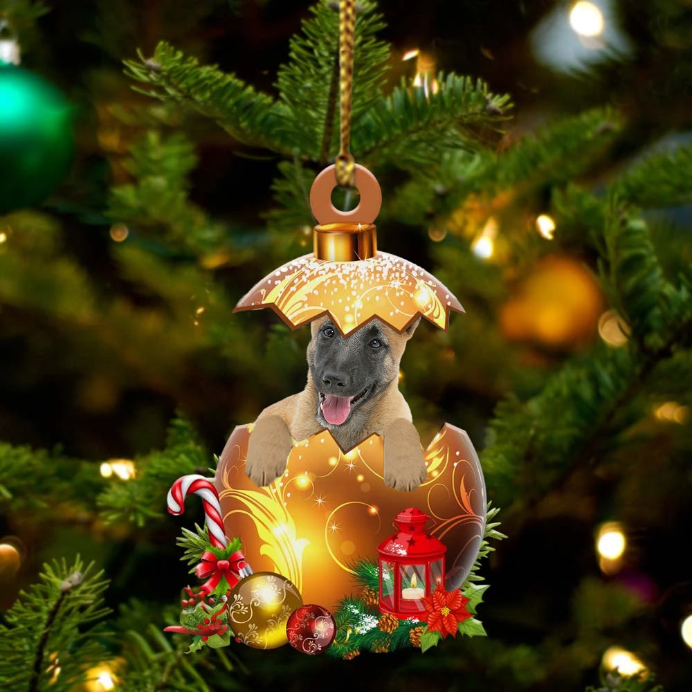 Belgian-Shepherd In Kerst Gouden Ei Ornament