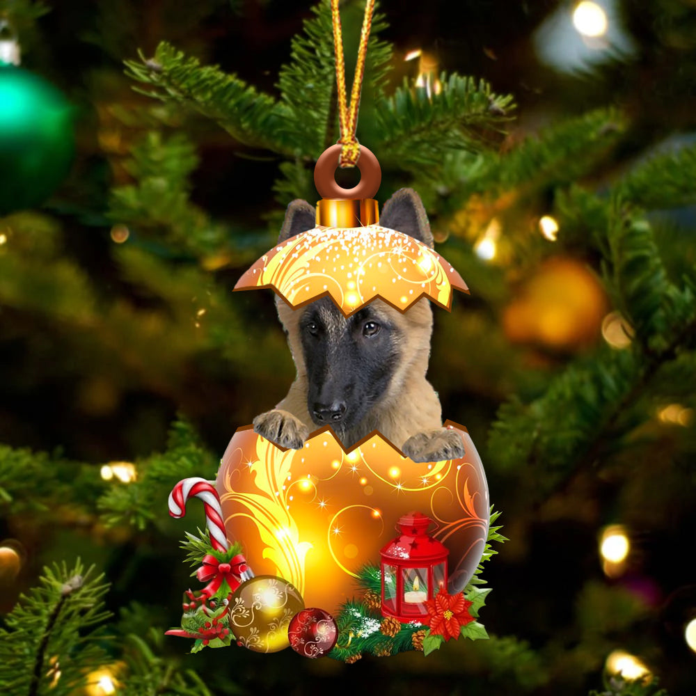 Belgian Tervuren In Kerst Gouden Ei Ornament