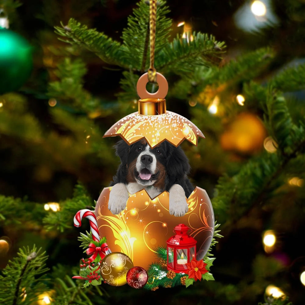 Bernese Mountain In Kerst Gouden Ei Ornament