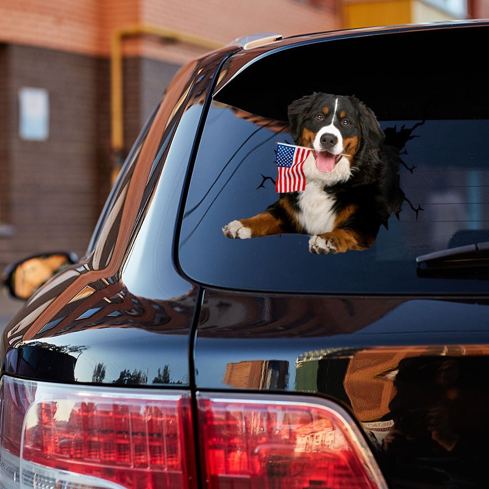 Bernese Mountain Dog