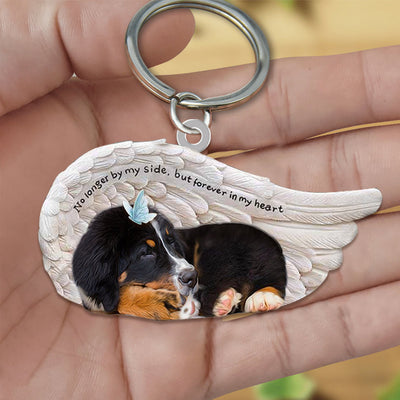 Bernese Mountain Dog | Slapende Engel