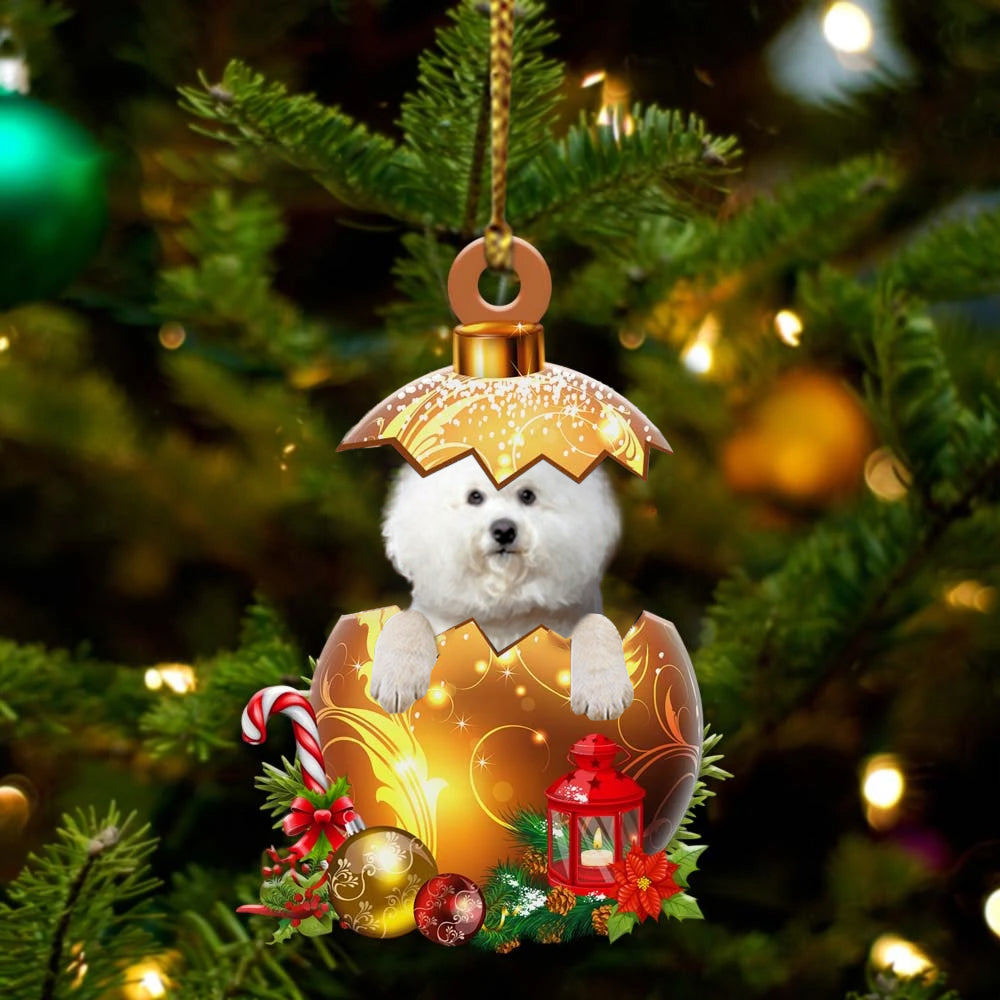 Bichon Frise In Kerst Gouden Ei Ornament