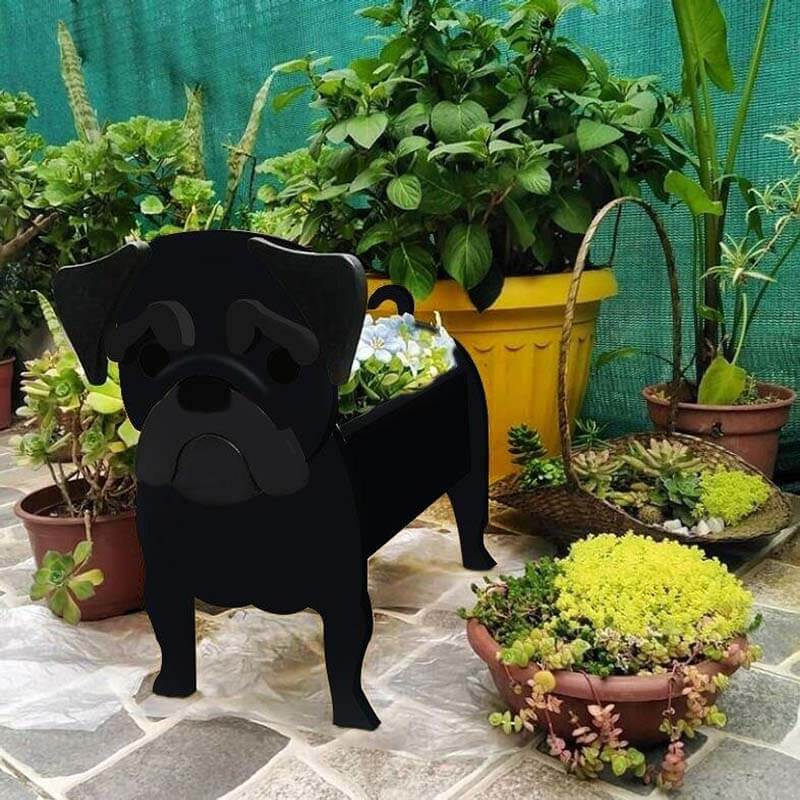 Zwarte Pug Planter