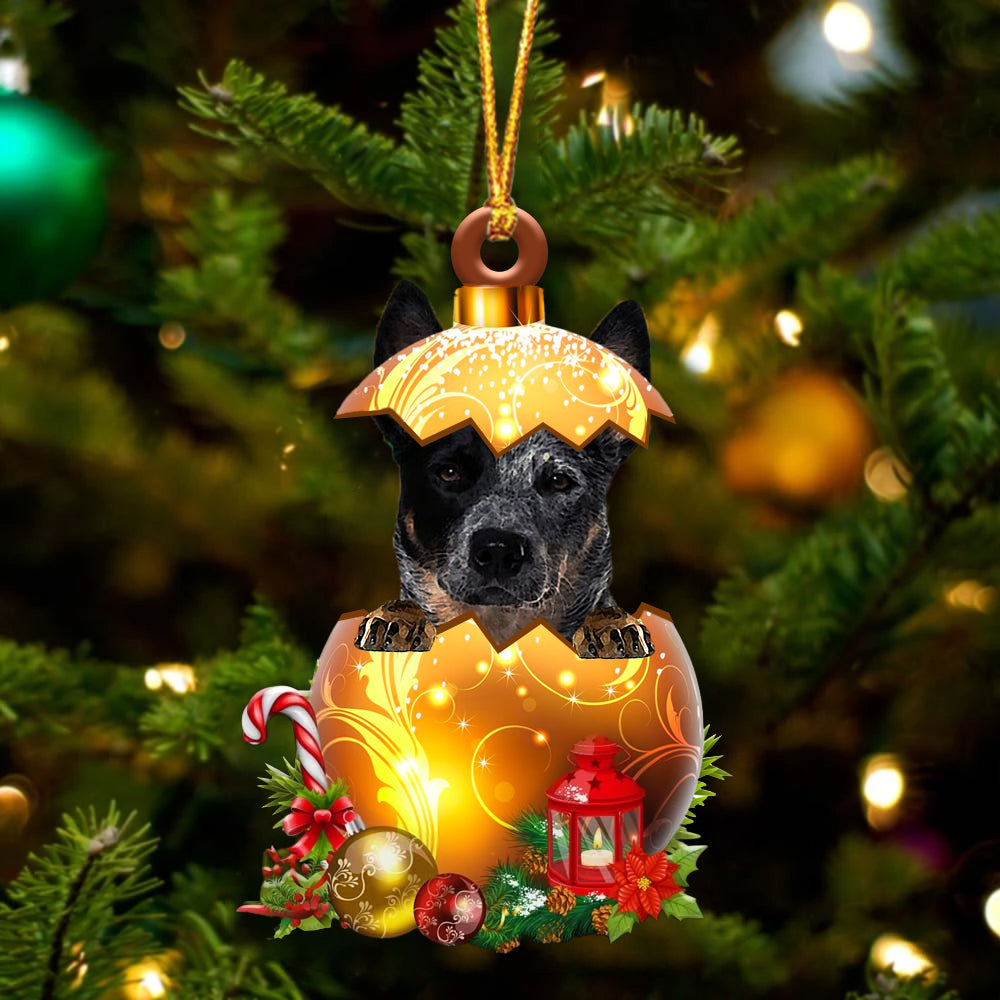 Blue Heeler In Kerst Gouden Ei Ornament