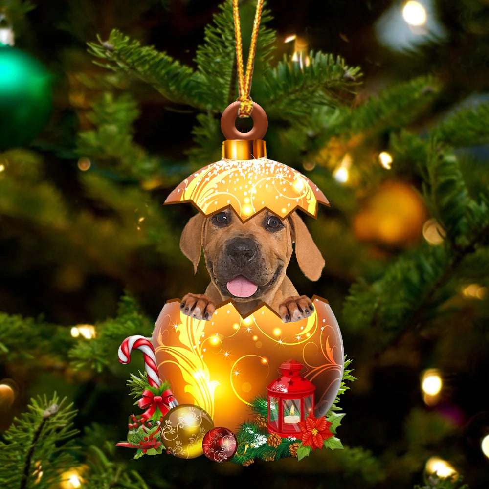 Boerboel In Kerst Gouden Ei Ornament