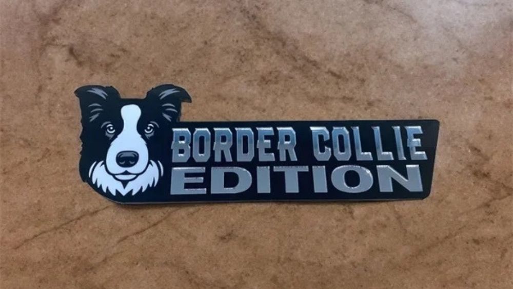 Border Collie Auto Badge Autoembleem