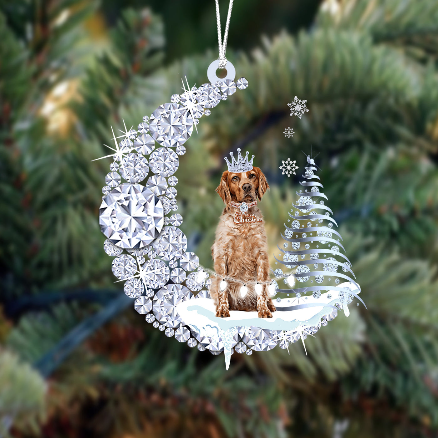 Brittany (2)op Diamand Maan Kerst Ornament