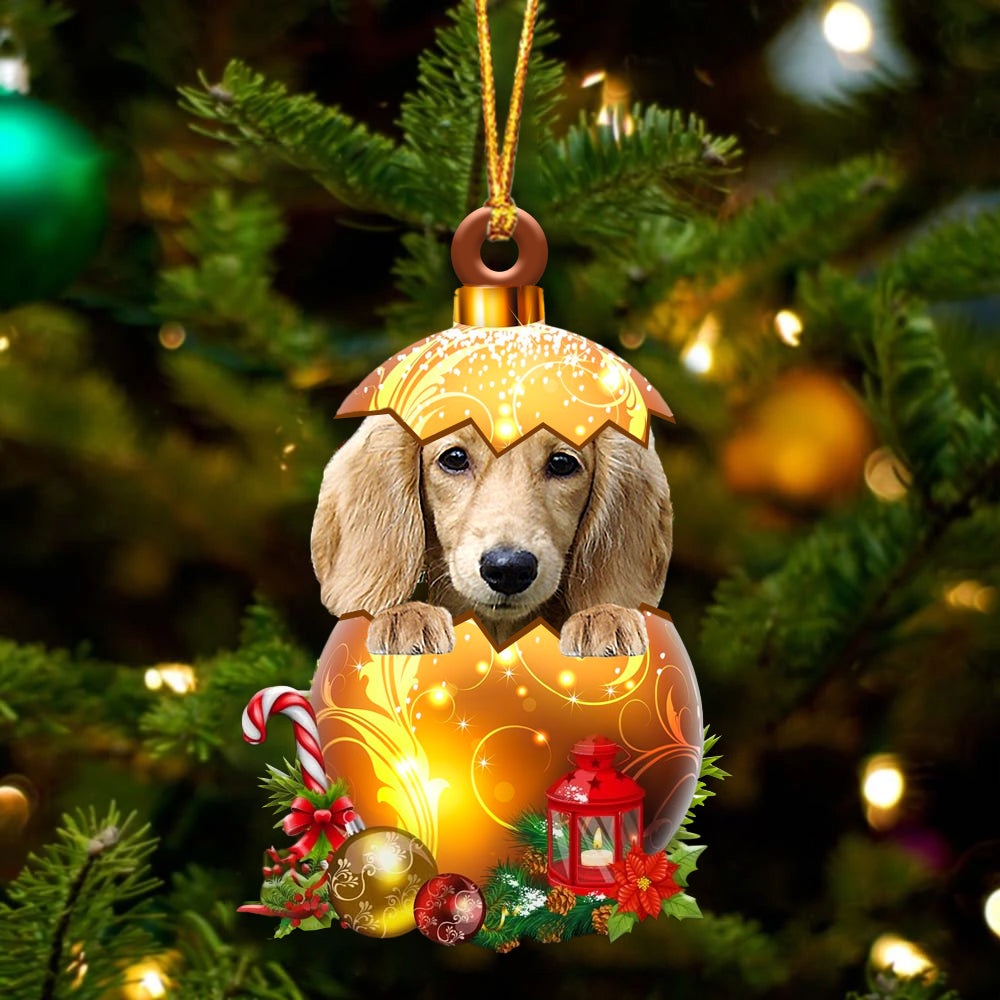 CREAM Long haired Dachshund In Kerst Gouden Ei Ornament