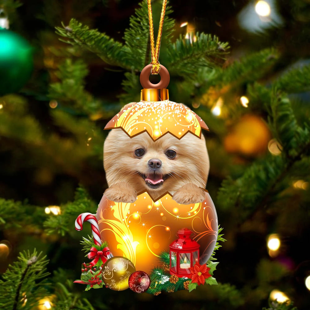 CREAM Pomeranian In Kerst Gouden Ei Ornament