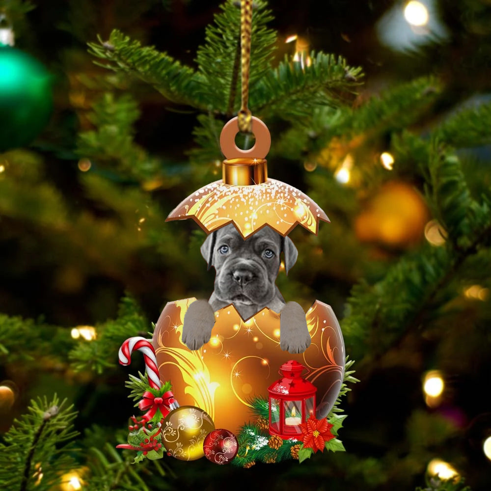 Cane-Corso In Kerst Gouden Ei Ornament