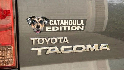 Catahoula Auto Badge Autoembleem