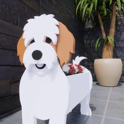 Cavachon Planter