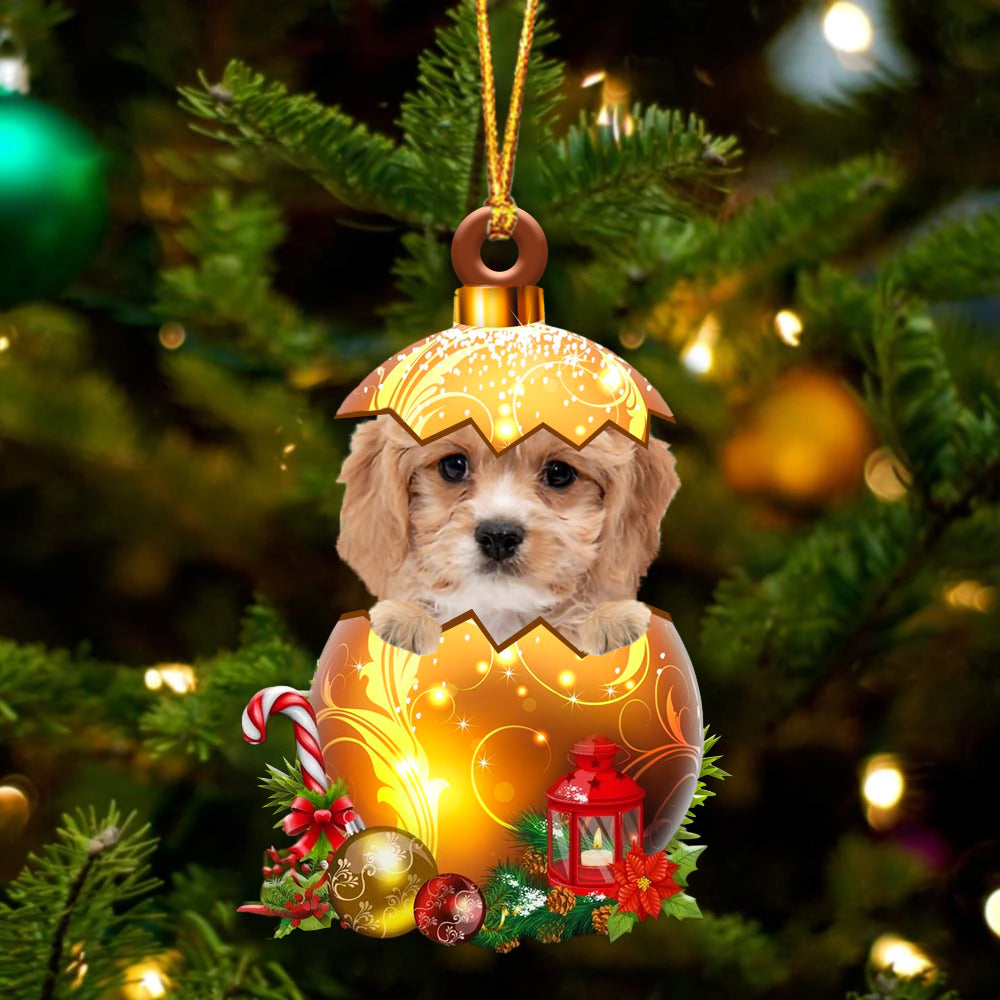 Cavachon In Kerst Gouden Ei Ornament