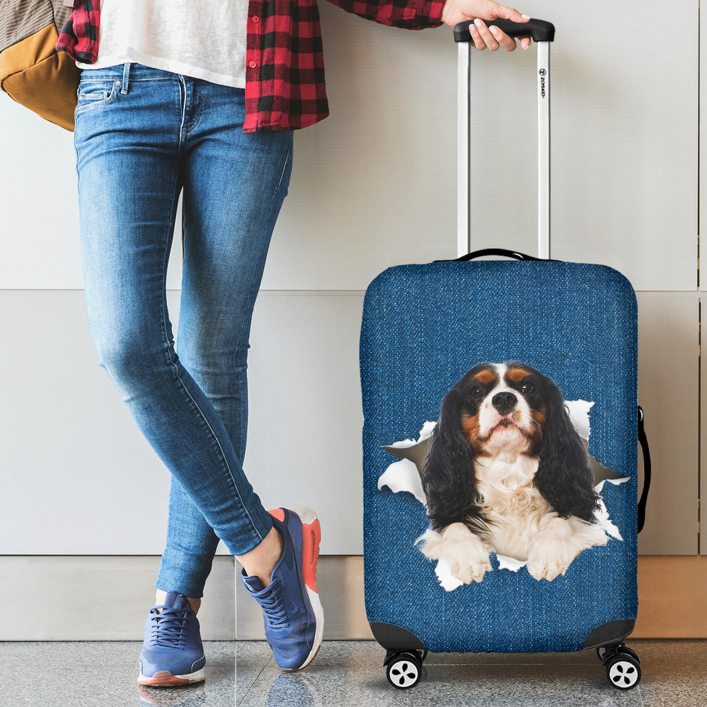 Cavalier King Charles Spaniel| Baggage