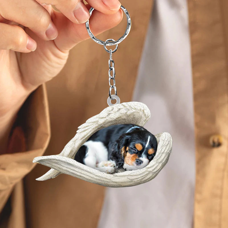 Ware Liefde | Slapende Cavalier King Charles Spaniel