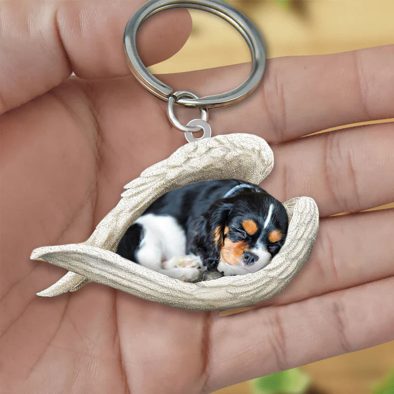 Ware Liefde | Slapende Cavalier King Charles Spaniel