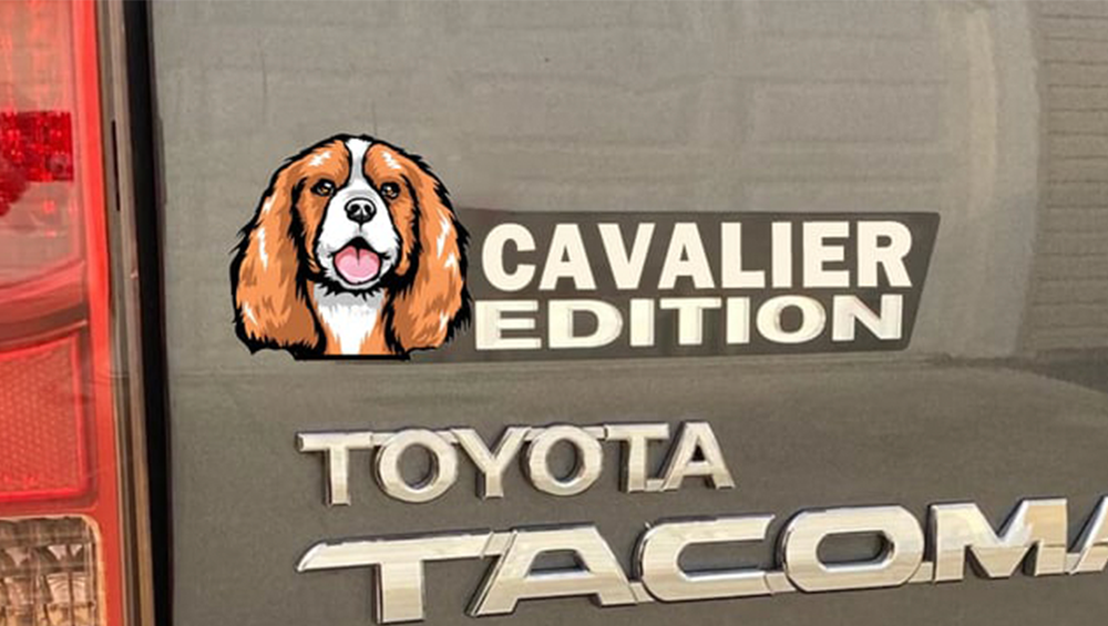 Cavalier King Charles Spaniel Auto Badge Autoembleem