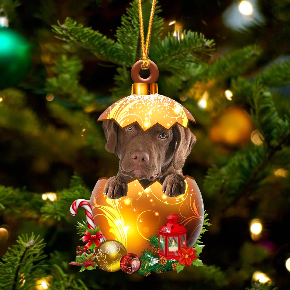 Chesapeake Bay Retriever In Kerst Gouden Ei Ornament