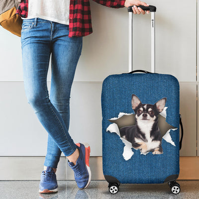 Chihuahua| Baggage