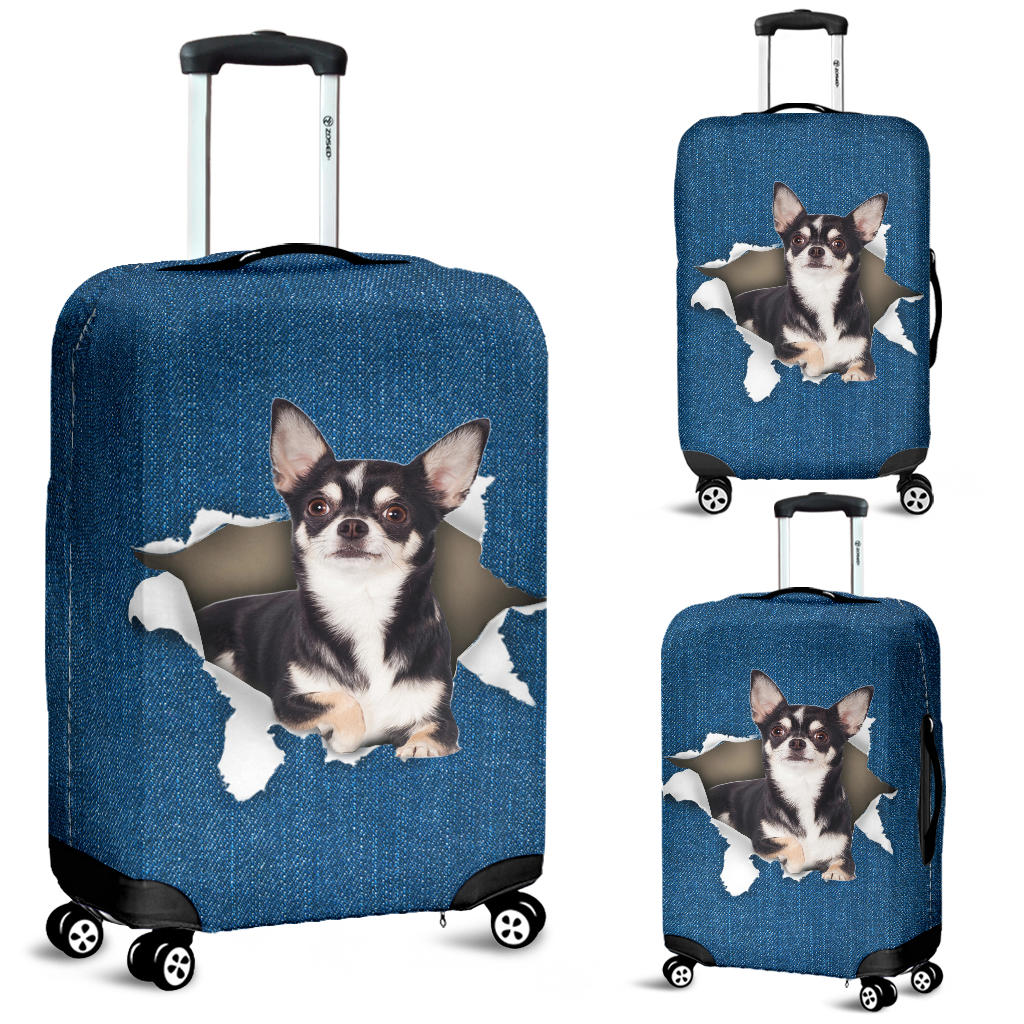 Chihuahua| Baggage